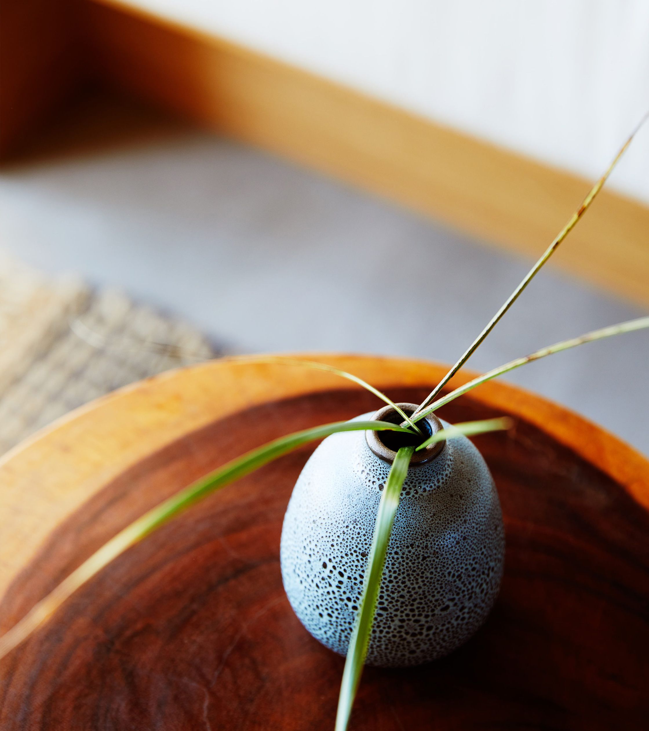 Leaves of a coffee table plant, sticking out from a narrow speckled vase
